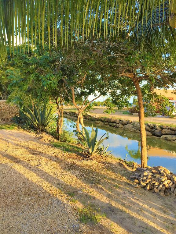 Royale Manor - 一居室联排别墅