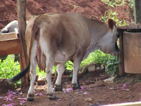 Hotel Fazenda Topada