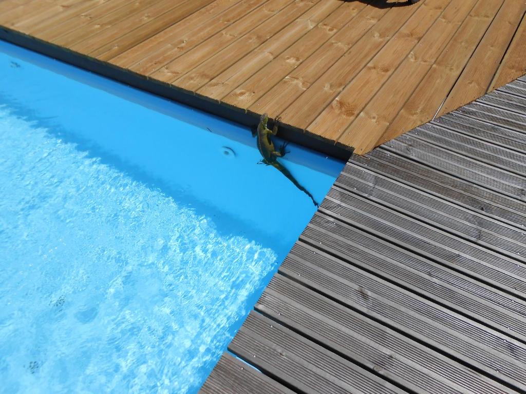 Bazén v ubytování BEL Z 'IGUANE nebo v jeho okolí
