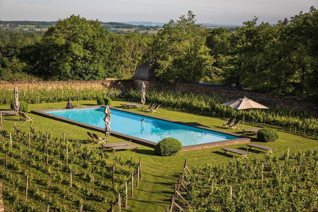 a swimming pool in the middle of a vineyard at Château de Labro - Teritoria in Onet le Château