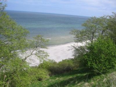 PutgartenにあるFerienwohnung am Nordstrandの木々と海の景色を望む