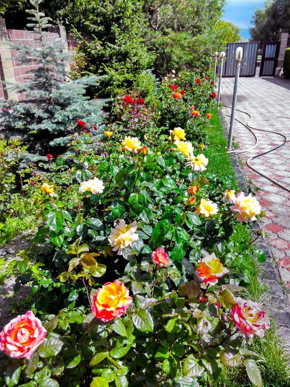 Zahrada ubytování Tian-Shan Guest House