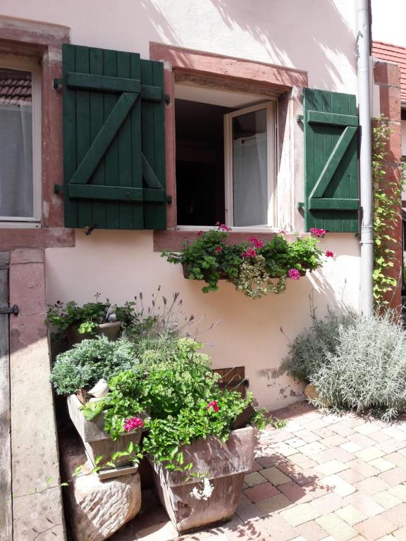 ブーウィラーにあるcharmant petit appartement en Alsaceの窓(緑のシャッター付)