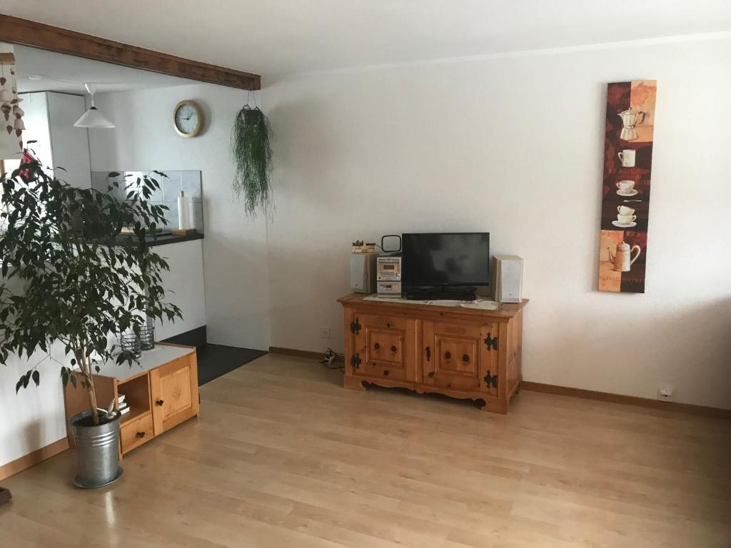 TV a/nebo společenská místnost v ubytování Abelied