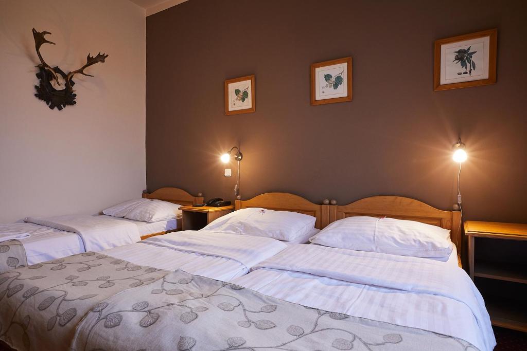 Hotel Panská - Deluxe Triple Room