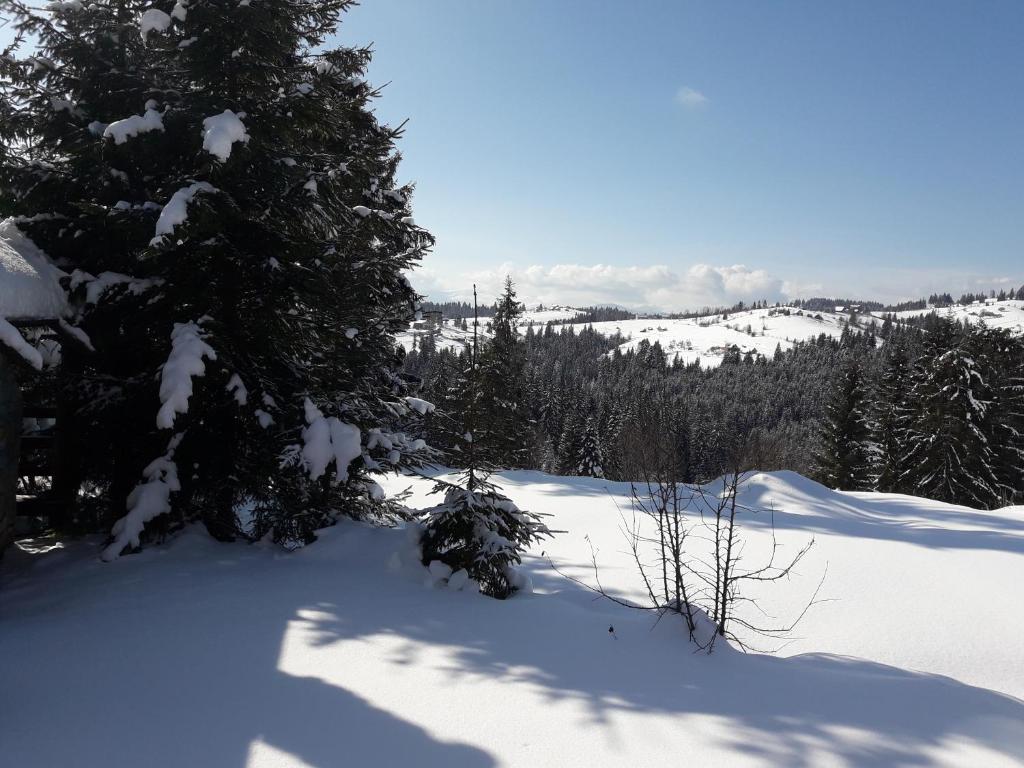 Panorama Karpat v zimě