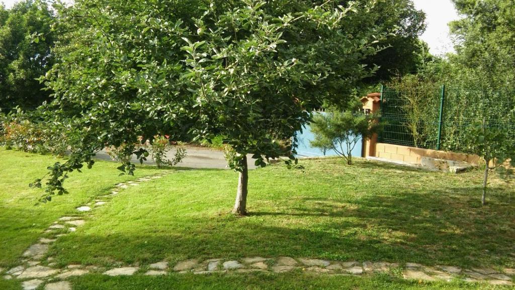 Zahrada ubytování Casa Candelas