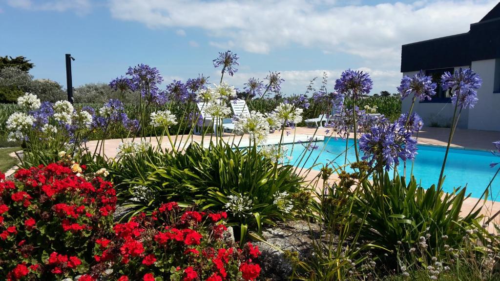 a garden with flowers in front of a swimming pool at Gîte de Porspol in Brignogan-Plages