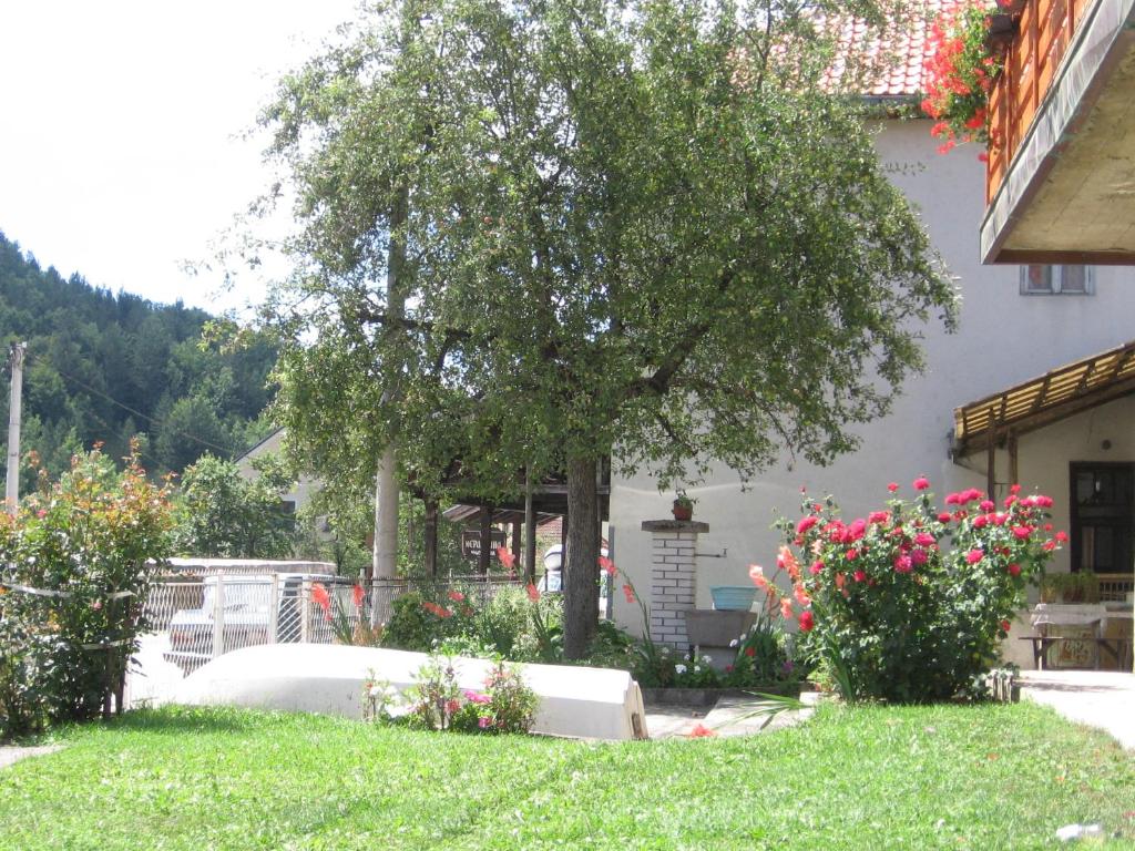 Zahrada ubytování Apartman Draga