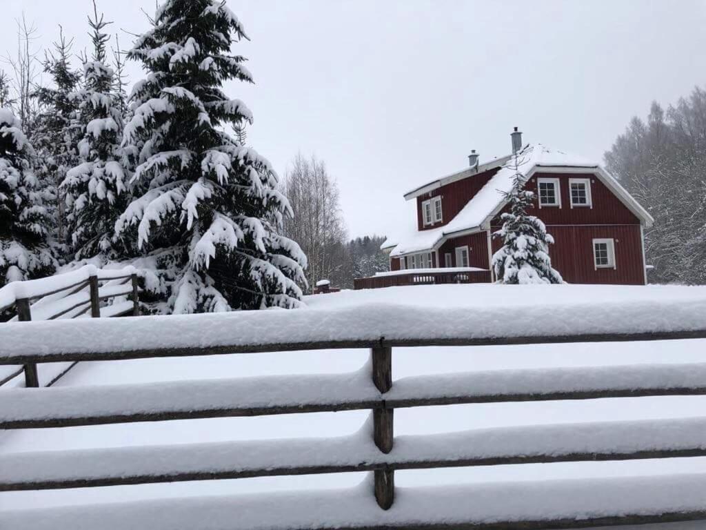 Aasa Puhkemaja v zimě