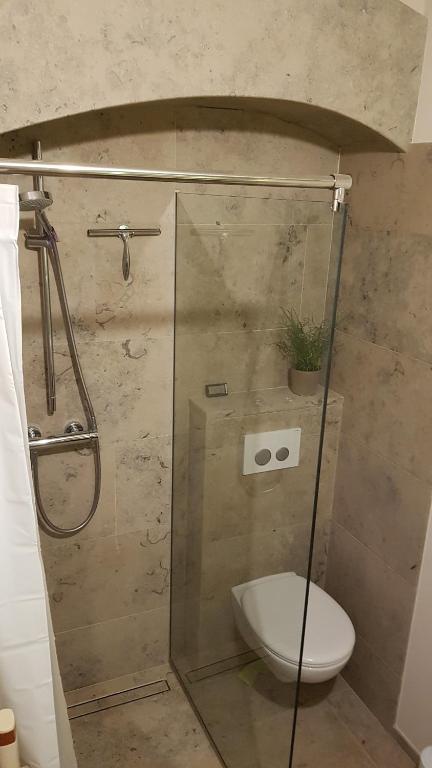 Koupelna v ubytování Miniapartment am Dalberg