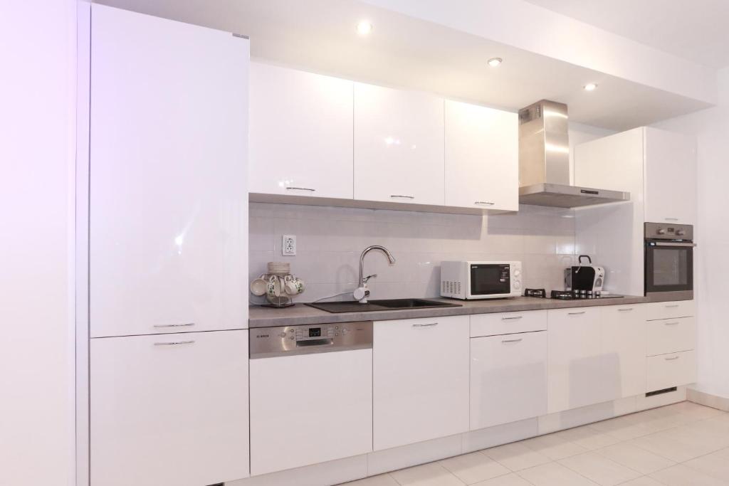 Kuchyň nebo kuchyňský kout v ubytování Apartment Miki