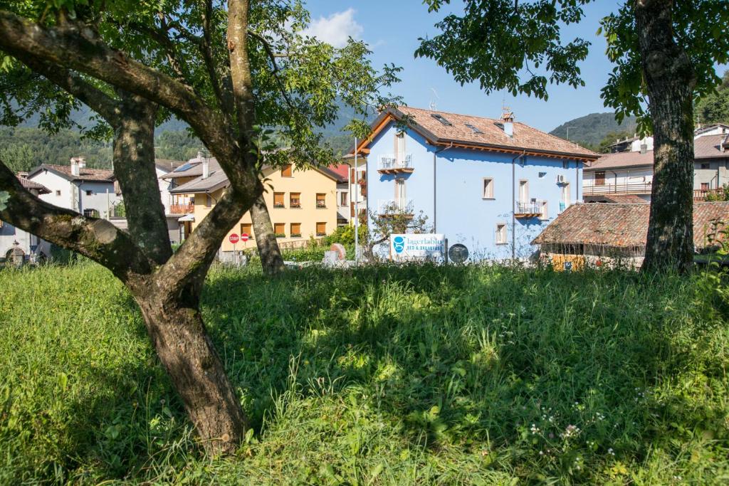 a tree in a field of grass with a building at B&B La Gerla Blu in Tolmezzo