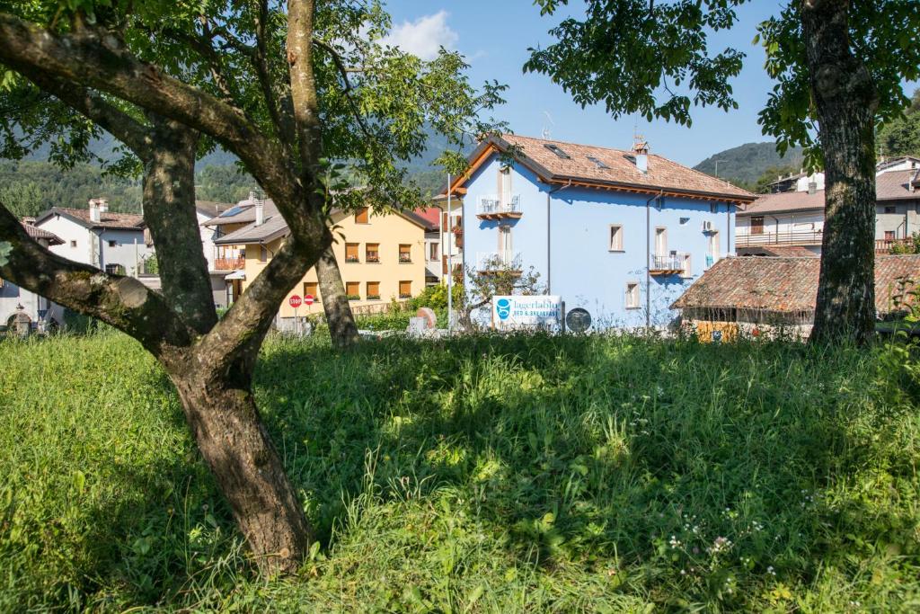 Ein Baum auf einem Grasfeld mit einem Gebäude in der Unterkunft B&B La Gerla Blu in Tolmezzo