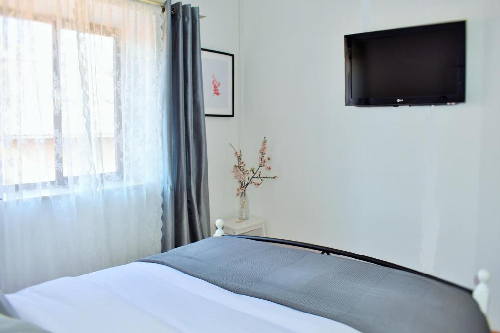 TV a/nebo společenská místnost v ubytování Apartment Antonija