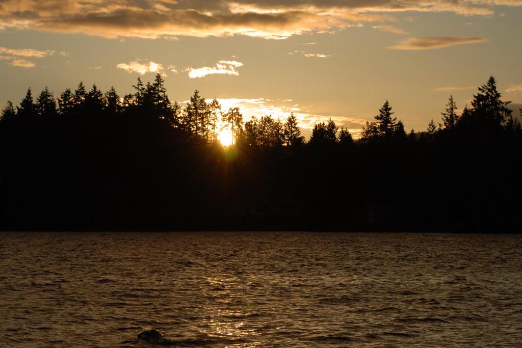Foto sihtkohas Shawnigan Lake asuva majutusasutuse Shawnigan Suite B & B galeriist