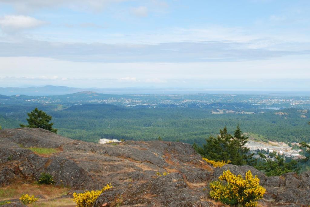 Foto sihtkohas Shawnigan Lake asuva majutusasutuse Shawnigan Suite B & B galeriist