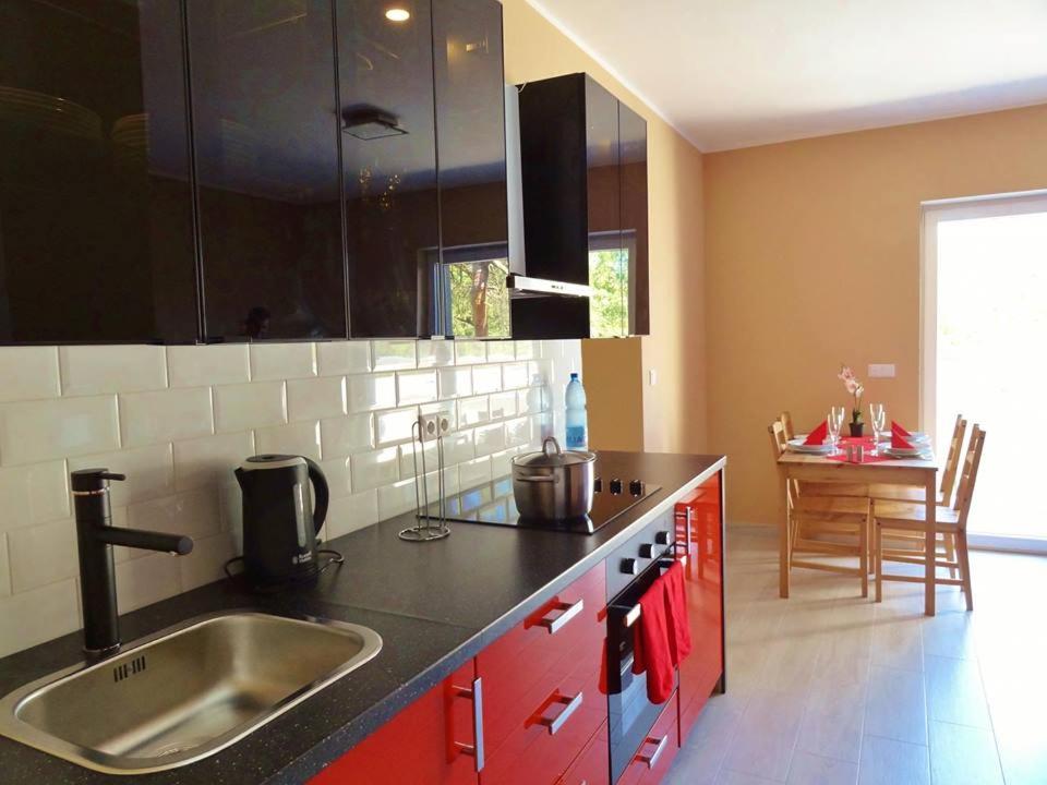 a kitchen with a sink and a counter top at Apartment Panorama in Międzywodzie