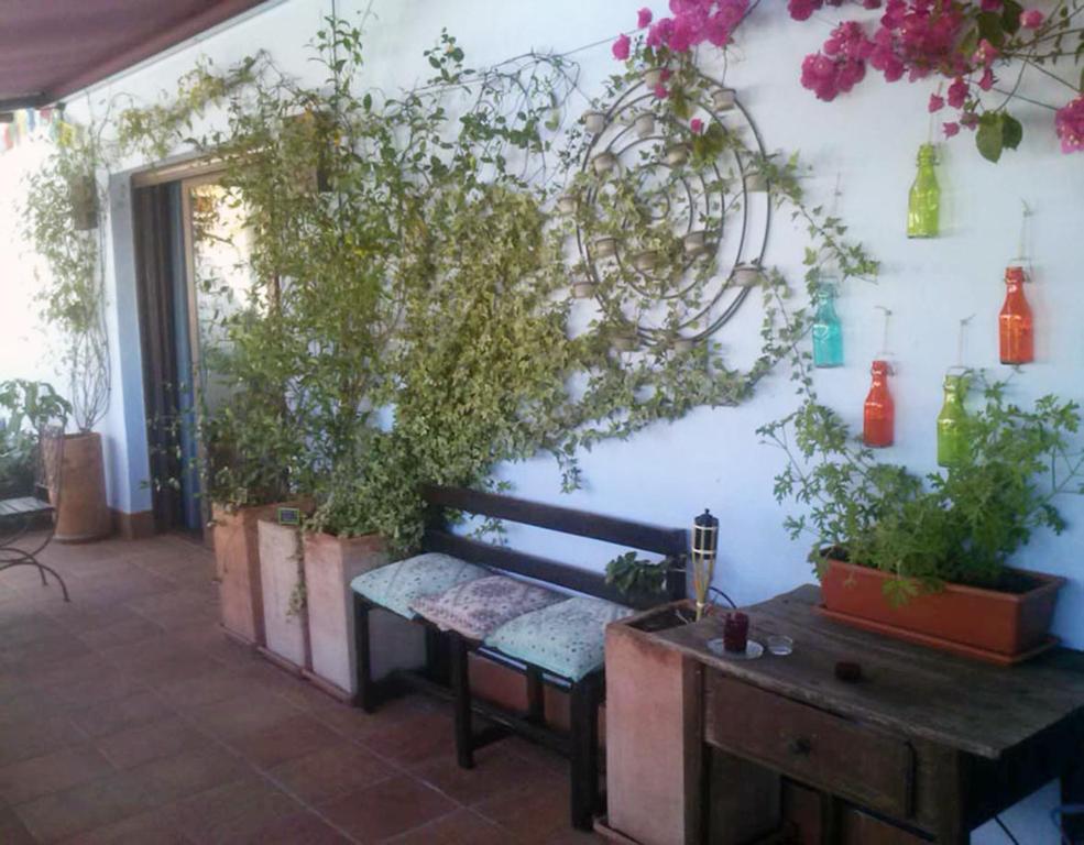 Zahrada ubytování Atico Deluxe San Basilio