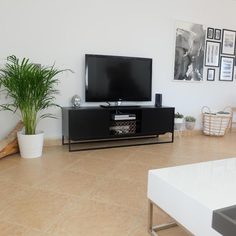 TV a/nebo společenská místnost v ubytování EBLI House