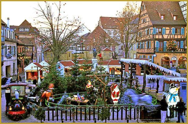 Margot - hyper centre Colmar – photo 44