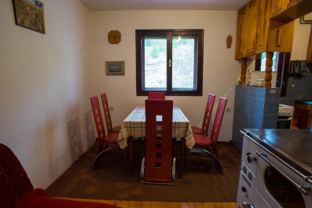 Kuchyň nebo kuchyňský kout v ubytování Guest house Jezera