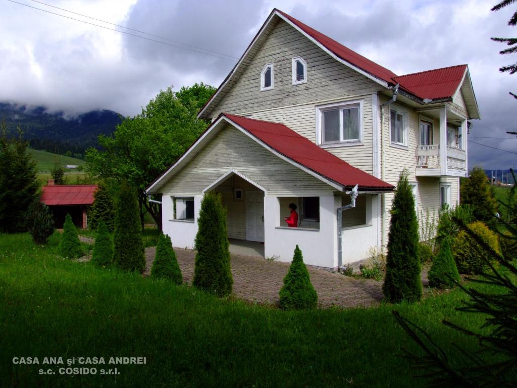 uma casa com um telhado vermelho e uma pessoa numa janela em Casa Andrei Vatra Dornei em Dealu Floreni