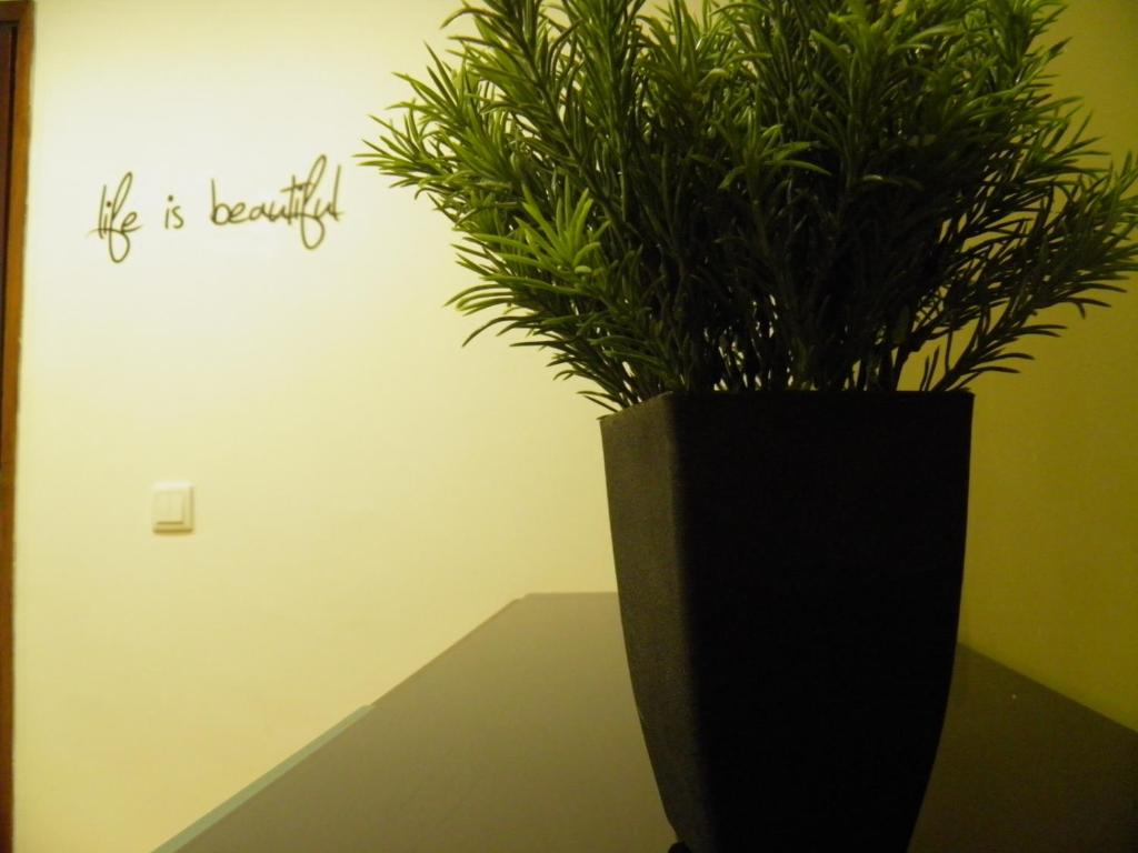 Atlantic Nest Coimbra - 5