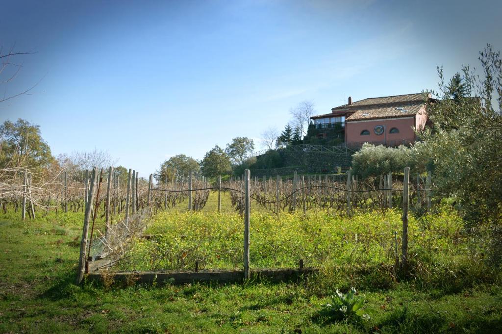 Ogród w obiekcie Agriturismo Kikajon