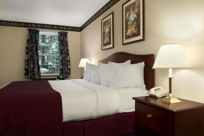 Days Inn by Wyndham Grayling - Suite King Com 1 Quarto - Não Fumador
