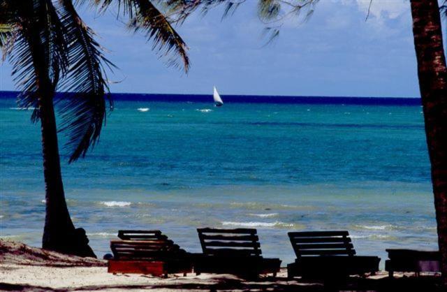 Turtle Bay Beach Club- All Inclusive gallery 3