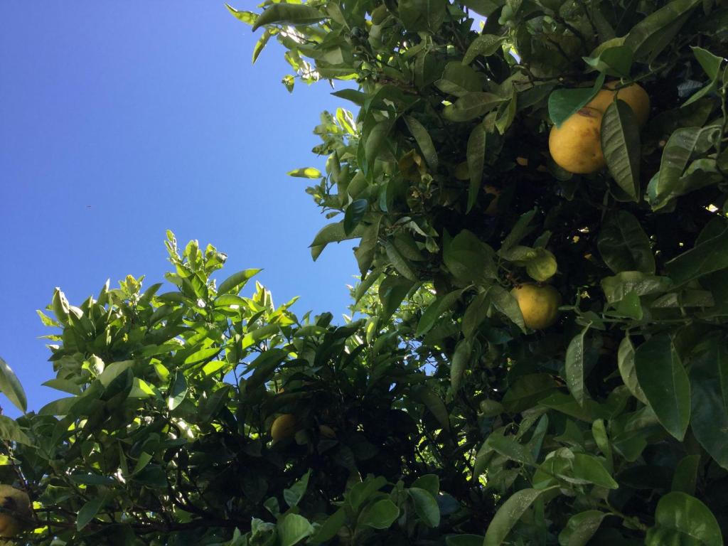 Martinborough Motel - Resim 5