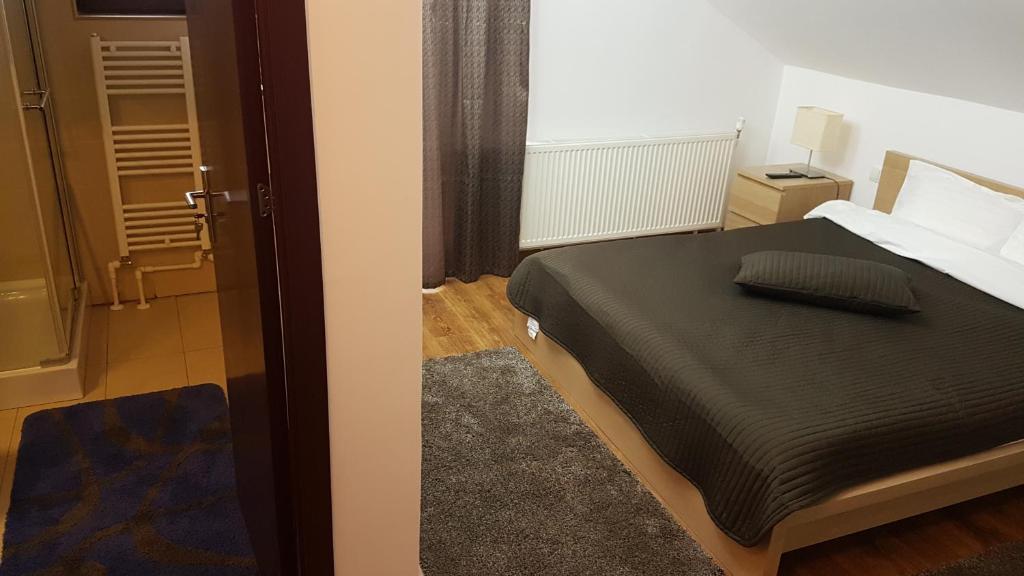 Pensiunea Casa Runcu Buzau - Camera Doppia Con Bagno Privato