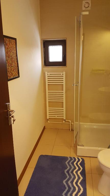 Pensiunea Casa Runcu Buzau - Camera Doppia Con Bagno Privato
