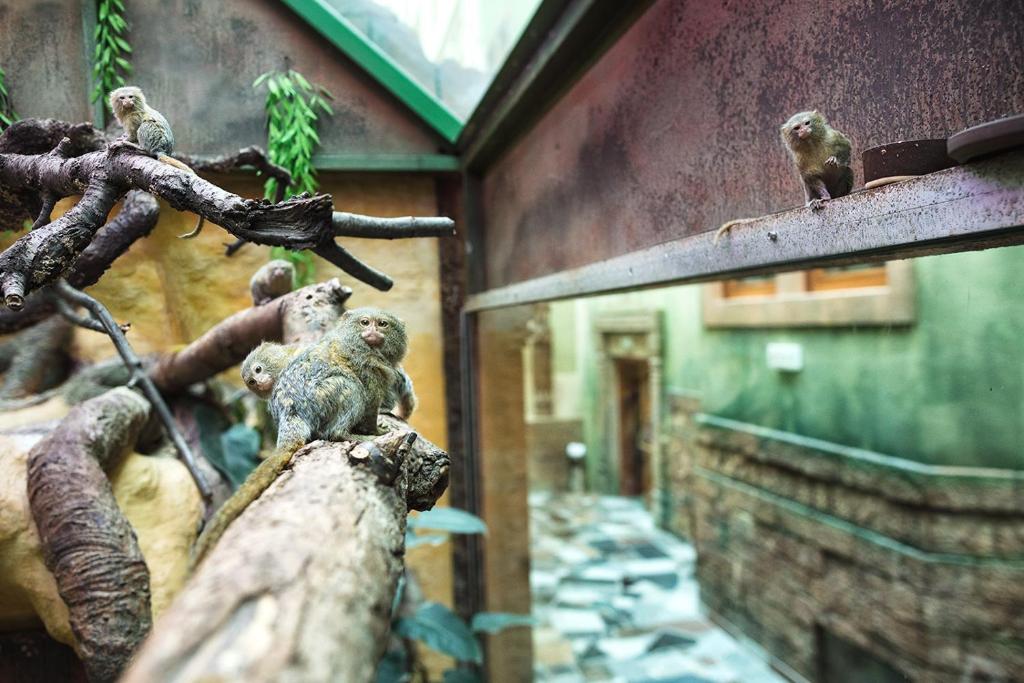 Wellness Hotel Babylon - Resim 17