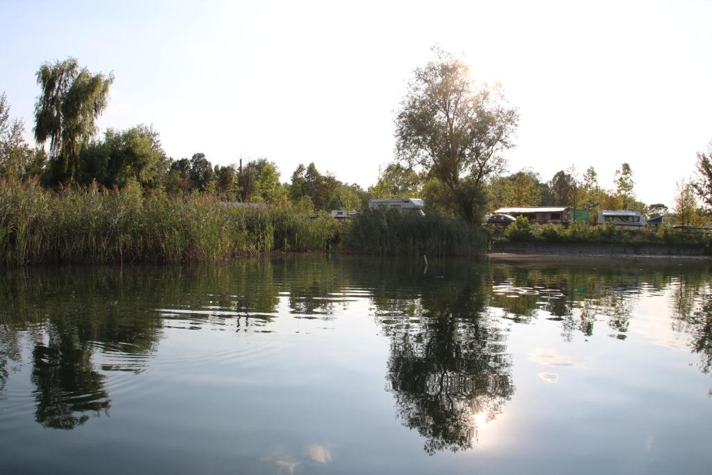 Priroda u blizini kampa