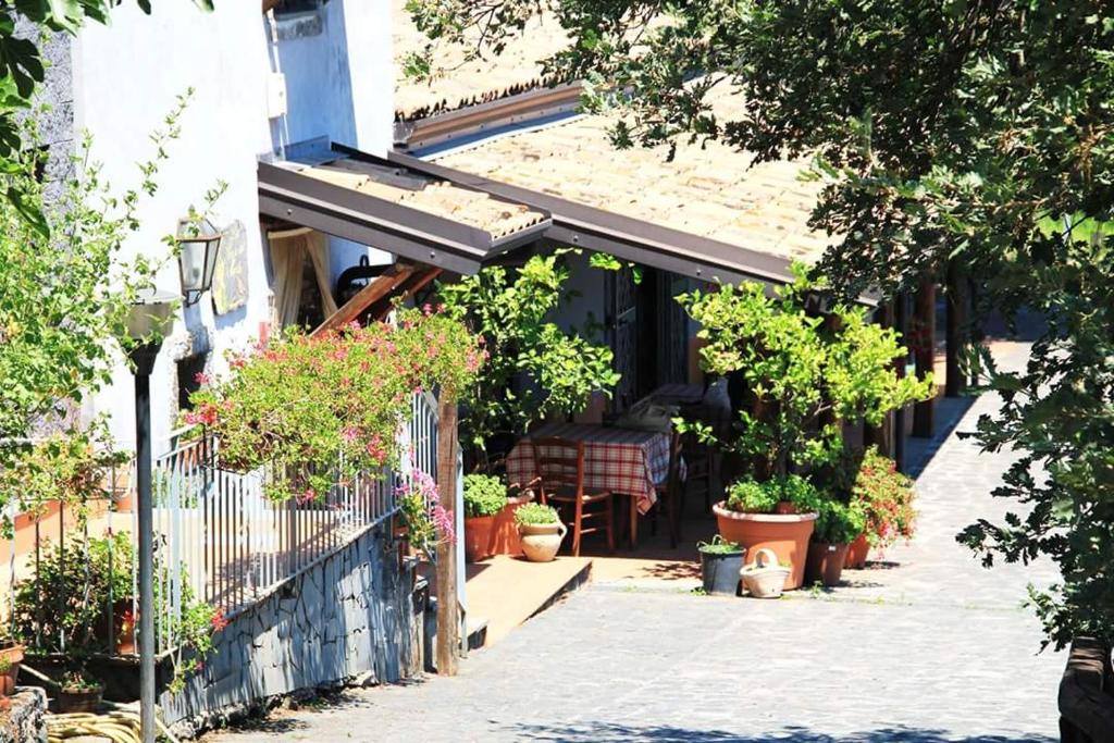Zahrada ubytování Le Case Del Merlo Turismo Rurale