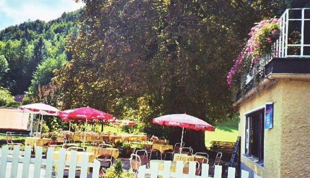 Fotografie z fotogalerie ubytování Gasthof Staudach v destinaci Hollenstein an der Ybbs