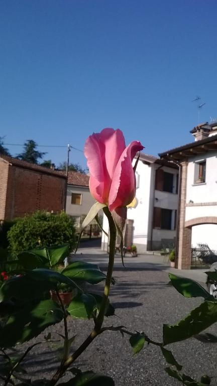Fotografia z galérie ubytovania Gli Acini v destinácii Pietra deʼ Giorgi