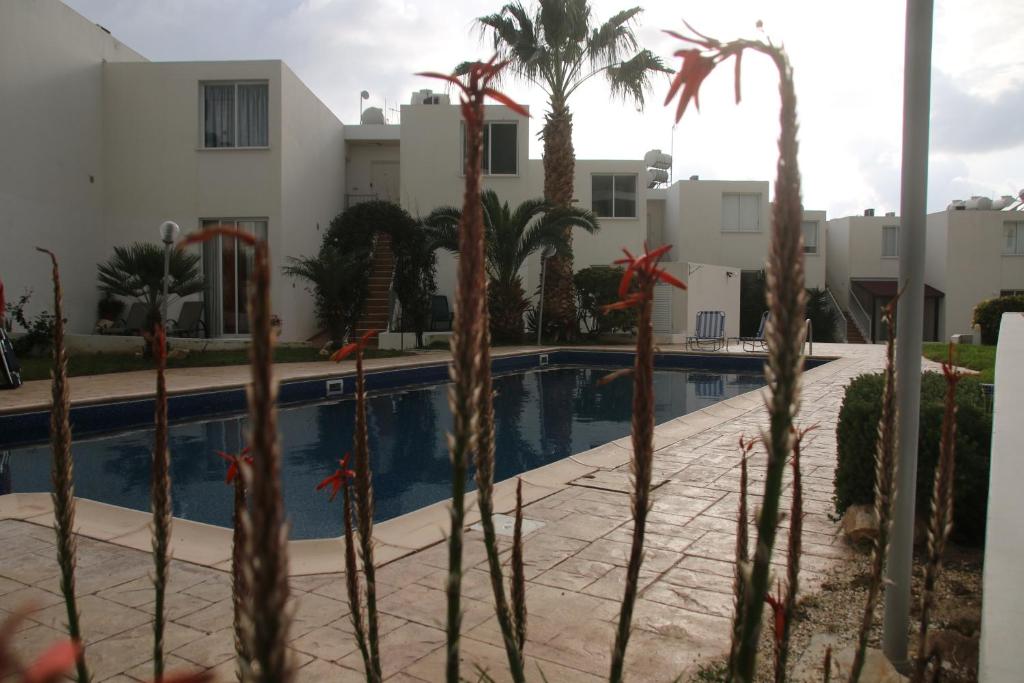 Evros Peyia & Coral Bay Seaview Apartment