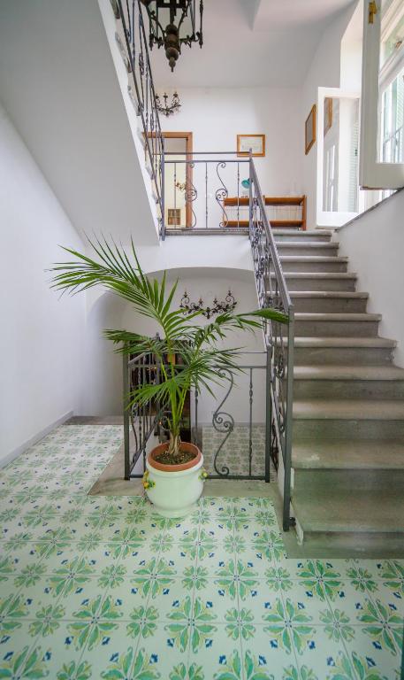 Fotografie z fotogalerie ubytování B&B Casina de Goyzueta v destinaci Torre del Greco