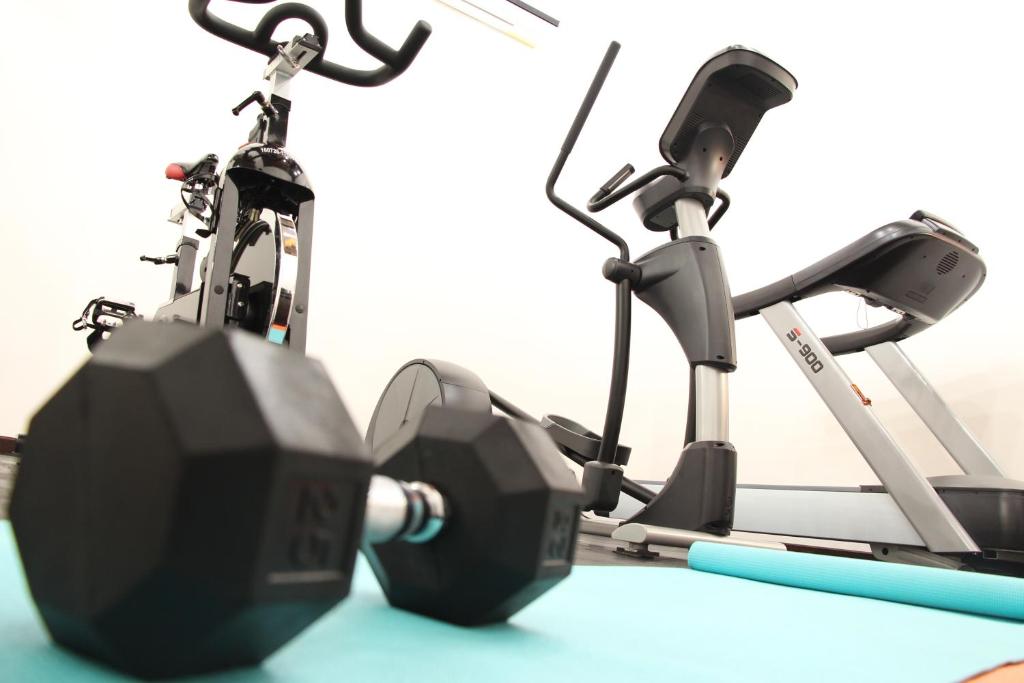 Fitness centrum a/nebo fitness zařízení v ubytování Hotel Alameda Centro Historico