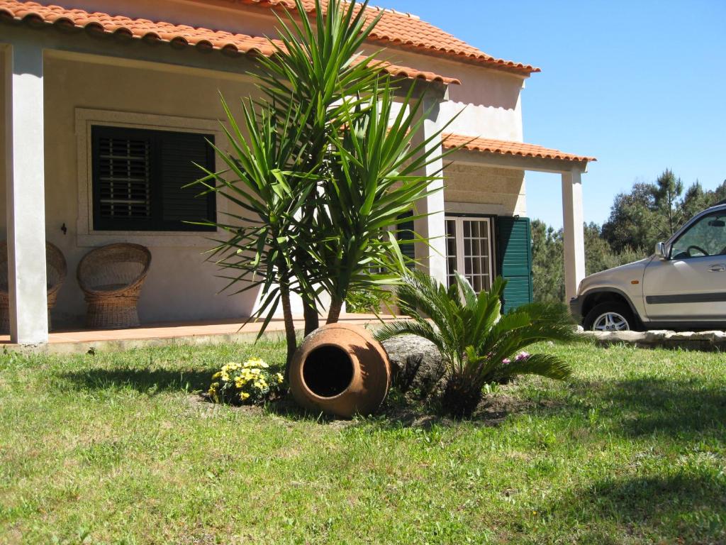 ein Haus mit einer Palme im Hof in der Unterkunft Casa "Quinta Souto da Ordem" in Castelo Novo