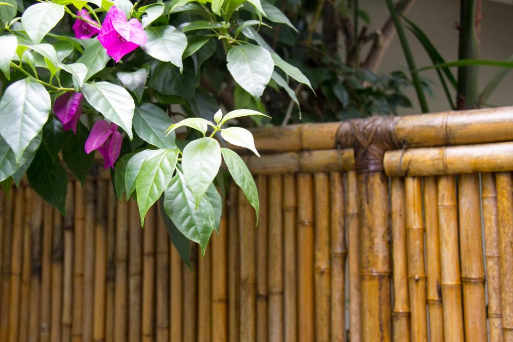  Casa Clara Paraty