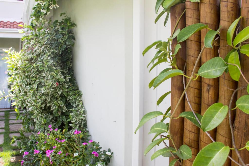  Casa Clara Paraty