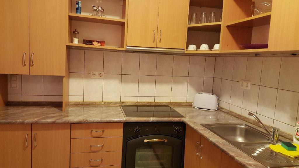 Kuchyňa alebo kuchynka v ubytovaní Liget Apartment, Terrace, Free Parking, AC