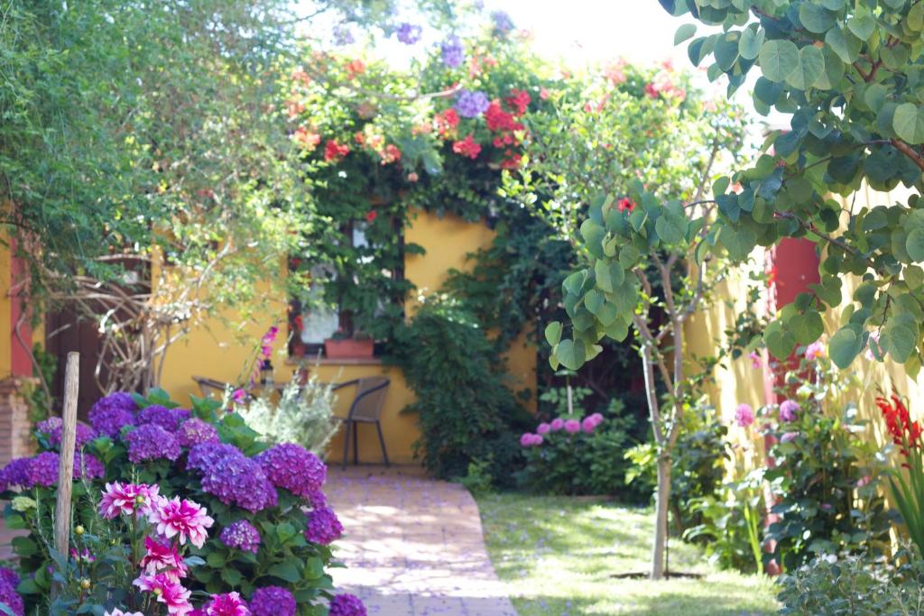 Zahrada ubytování Hotel Doñana Blues