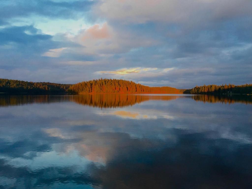 a large body of water with trees reflecting in it at Villa Leppäkerttu in Enonkoski