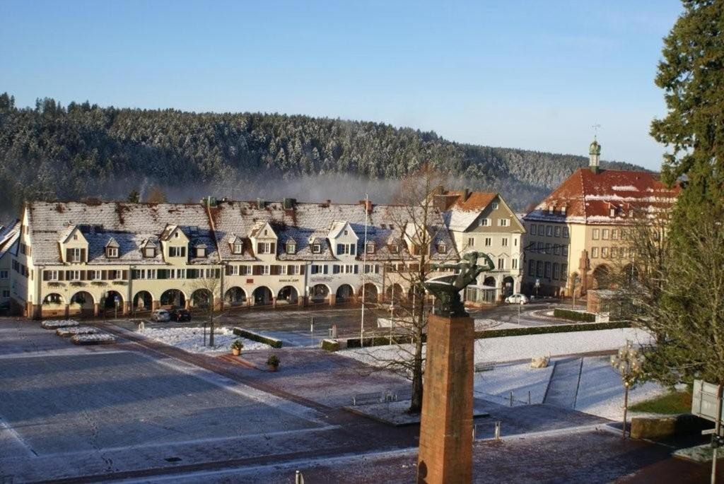 Nespecifikovaný výhled na hory nebo výhled na hory při pohledu z hotelu