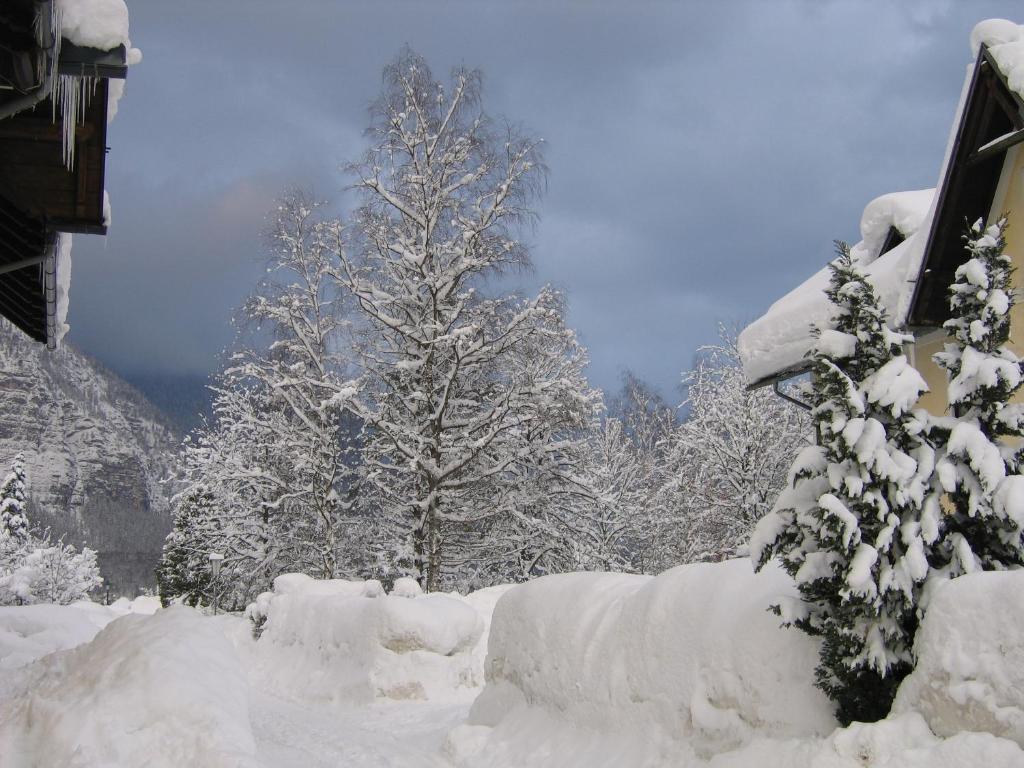 Apartment Silvia - 19